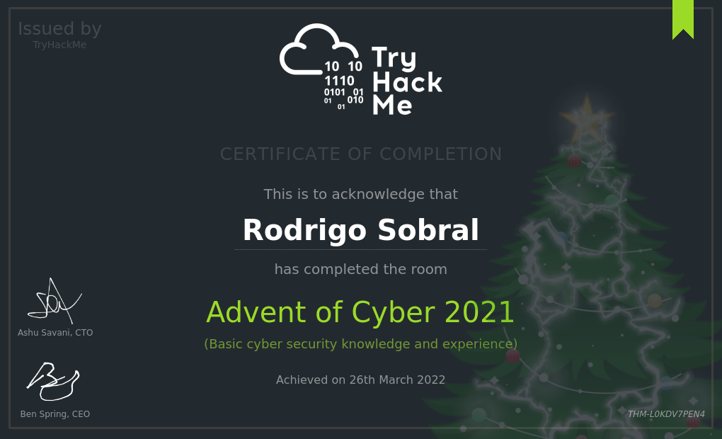 thm_adventofcyber21