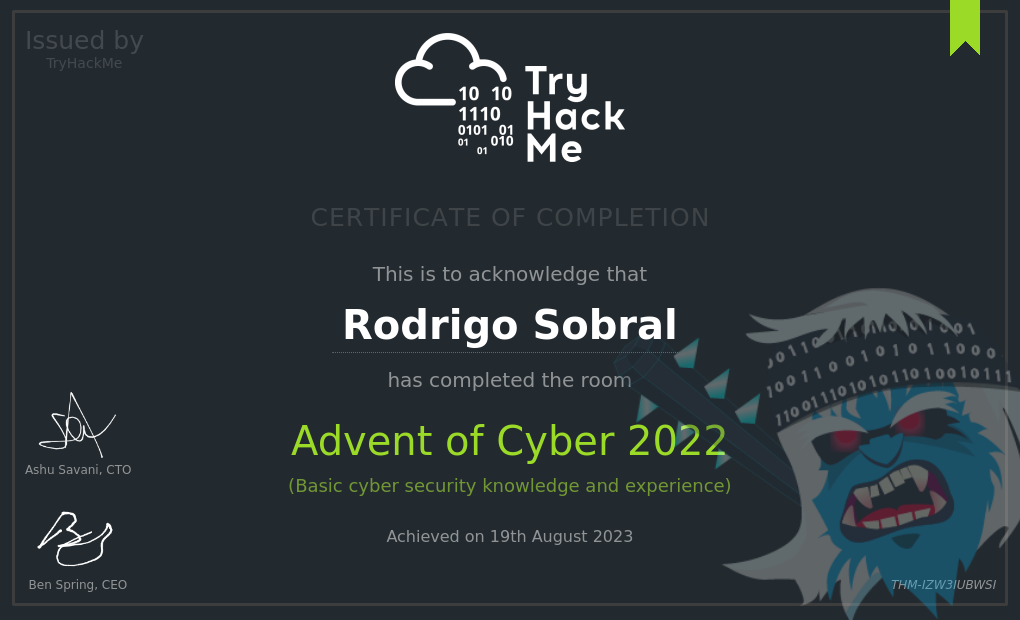 thm_adventofcyber22