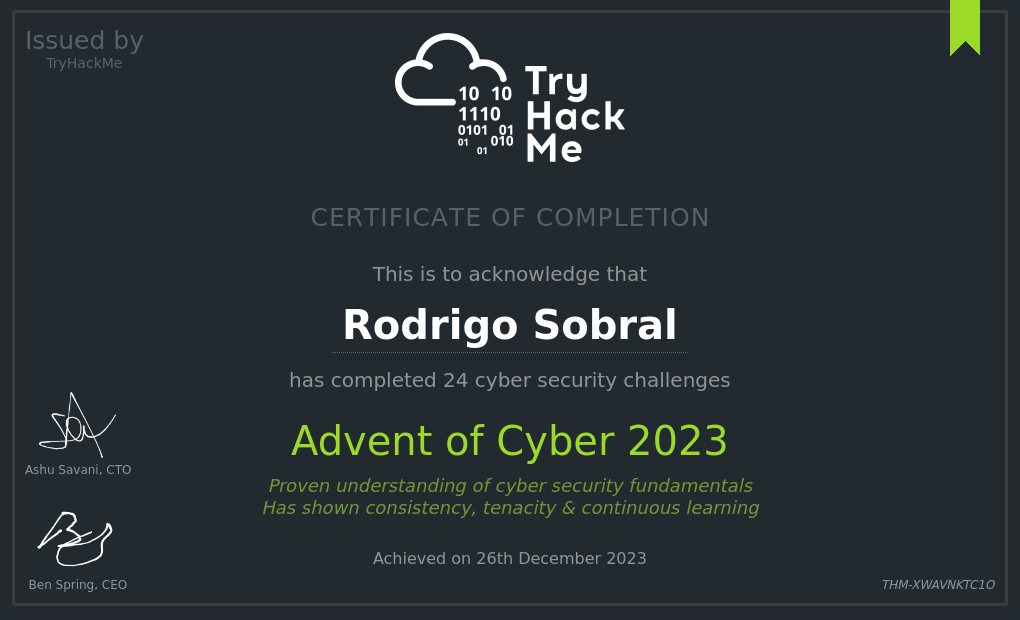 thm_adventofcyber23